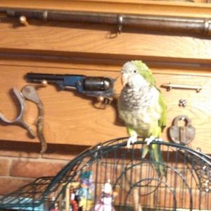 Meet your Posher, Tanya